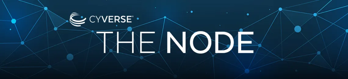 CYVERSE - The Node Newsletter