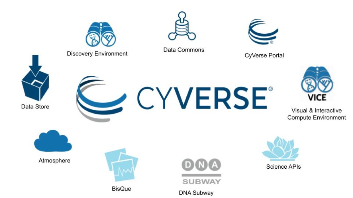 CyVerse Tools+Logos Slide