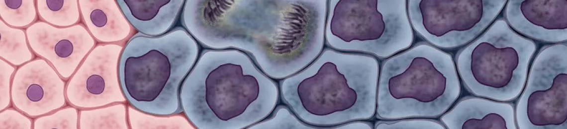 Single Cell